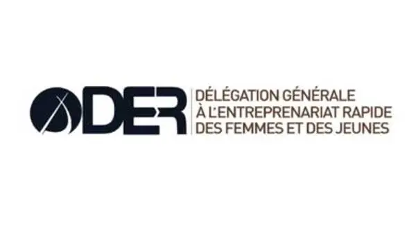 Logo DER/FJ / Projet d’Appui et de Valorisation des Initiatives Entrepreneuriales